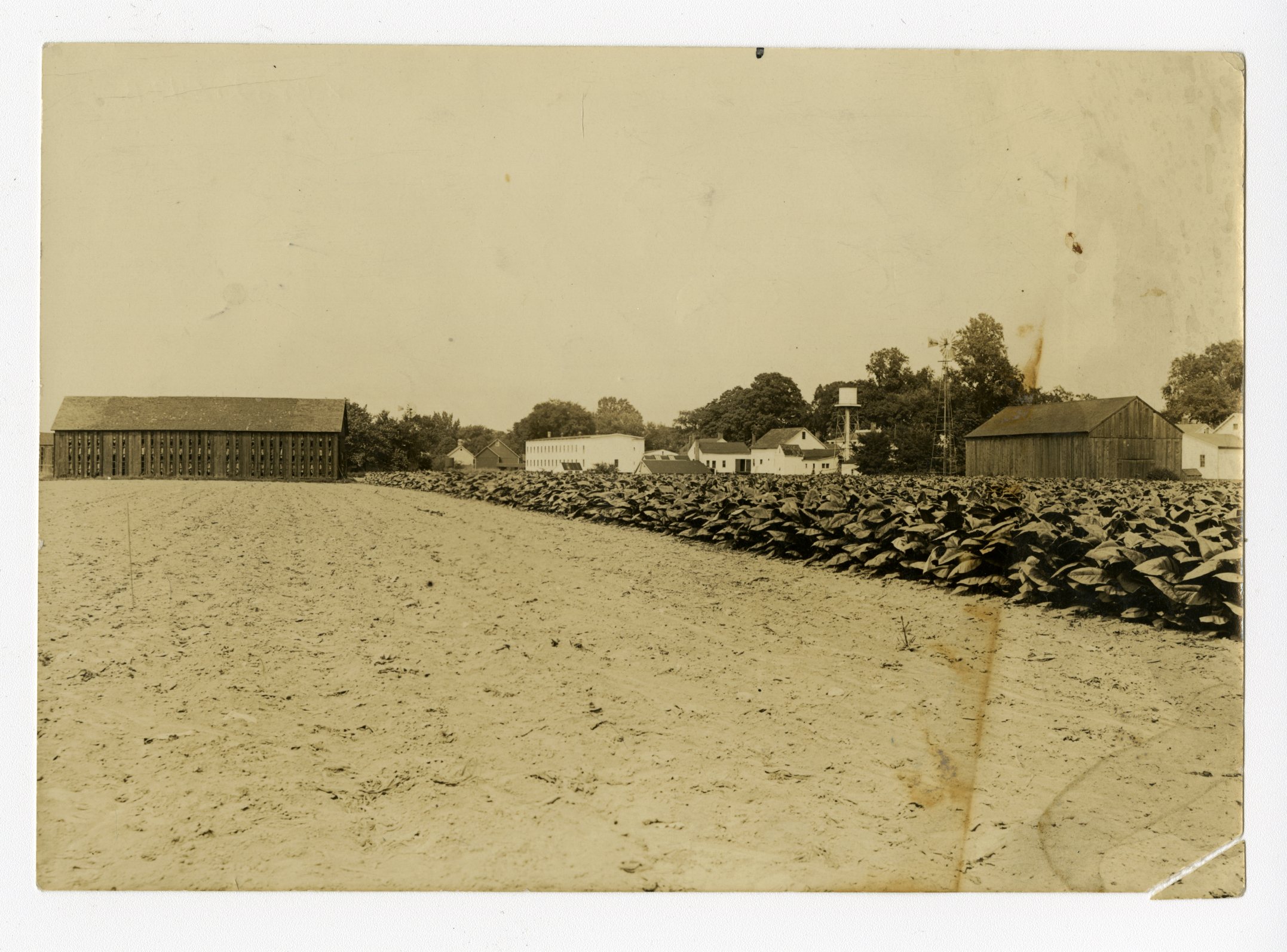 J. E. Shepard Company